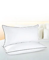 Cheer Collection Adjustable Layer Soft 2-Pack Pillows