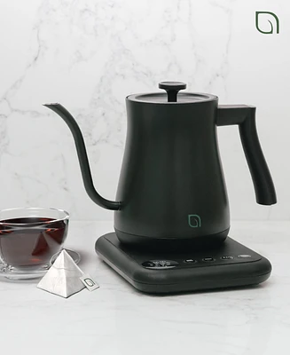 Willow Digital Gooseneck Kettle