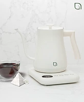 Willow Kitchen Digital Gooseneck Kettle with 5 Temperature Presets - Precision Heating Pouring for Perfect Brews