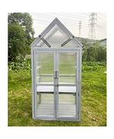 Streamdale Furniture Mini Greenhouse Kit