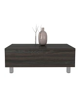 Depot E-Shop Aran Lift Top Coffee Table, Storage Compartment