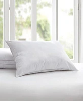 Claritin Ultimate Allergen Barrier Density Pillows