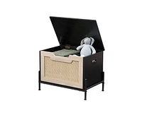 gaomon Storage Bench Rattan Entryway Bench with Seat Cushion for Entryway, Living Room, Bedroom, Black