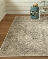 Feizy Prasad 3682F 8'x11' Area Rug