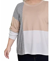 Ny Collection Plus Long Sleeve Color Blocked Pullover Top