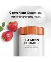 Codeage Irish Sea Moss Gummies Supplement - 300mg Irish Sea Moss Extract Equivalent to 3,000mg of Raw Sea Moss Powder - Delicious Strawberry Flavor