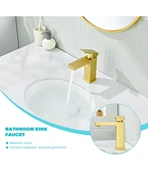 Flynama Single-Hole Single-handle Bathroom Faucet