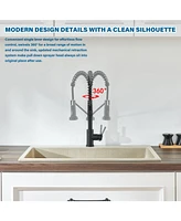 Flynama Single Hole Single-Handle Pull-Down Sprayer Kitchen Faucet In Matte Black