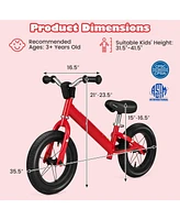 Hongge 12 Inch Toddler Balance Bike with Height Adjustable Handlebar and Seat-Red