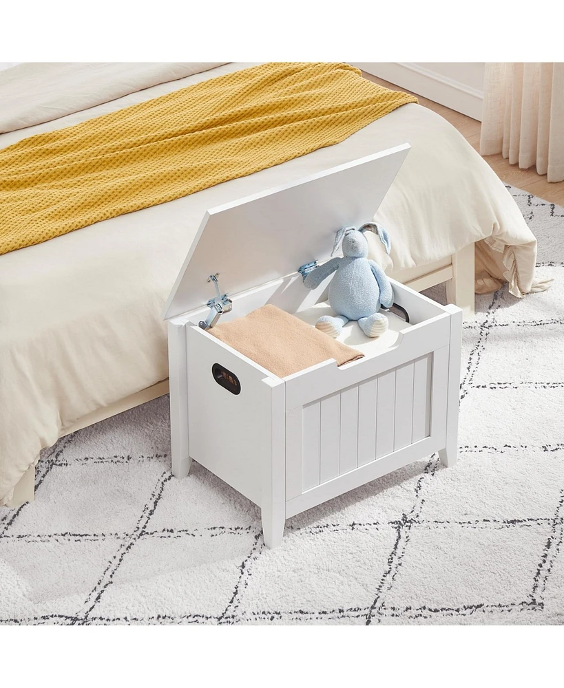 gaomon Storage Chest, Storage Trunk with Safety Hinge, Storage Bench, Wooden Storage Organizer, Shoe Bench