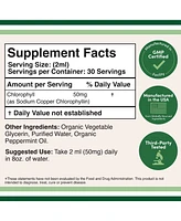 Double Wood Supplements Liquid Chlorophyll