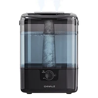 6L Cold Mist Humidifier with Oil Diffuser and Double Mist Outlets - Black
