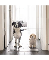 Hiddin Low Clear Pet Gate Panel 32"w x 24"h