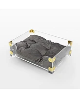 The Licker Store Haines 21.5" x 15.25" Small/Medium Modern Lucite Velvet Pet Bed with Washable Cushion