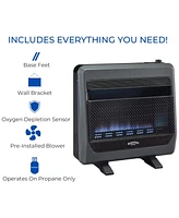 Bluegrass Living 30000BTU Propane Gas Ventless Space Heater with Blower and Feet