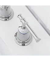 gaomon Bathroom Faucets, Classical 8 inch Bathroom Faucet with Pop Up Drain and Lead-Free Hose, 2 Packs