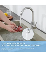 Flynama Single Handle Surface-Mounted Kitchen Faucet