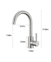 Flynama Single Handle Surface-Mounted Kitchen Faucet