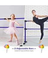 Hongge 4 Feet Portable Ballet Barre with Adjustable Height
