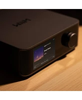 WiiM Ultra Premium Audio Streamer & Digital Preamp