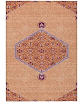 Addison Chantille Machine Washable ACN1011 10'x14' Area Rug