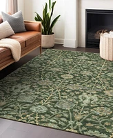 Addison Chantille Machine Washable ACN1087 3'x5' Area Rug