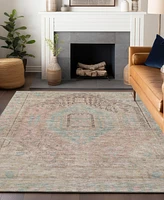 Addison Chantille Machine Washable ACN1134 9'x12' Area Rug