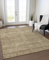 Addison Chantille Machine Washable ACN1165 2'6"x3'10" Area Rug