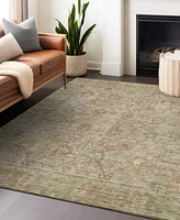 Addison Chantille Machine Washable ACN1106 8'x10' Area Rug