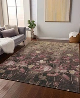 Addison Chantille Machine Washable Acn992 Rug Collection