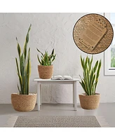 Casafield Set of 3 Seagrass Planter Baskets - Natural, Hand Woven Indoor Flower Pot Covers with Liners for Plants, Succulents, Home Decor