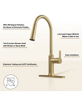 Casainc 1.8 Gpm Single-Handle Pull-Down Kitchen Faucet Single Hole