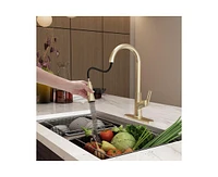 Casainc Single-Handle Pull-Down Kitchen Faucet Single Hole Faucet with Deck Plate