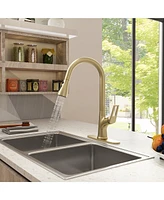 Casainc Single-Handle Pull-Down Sprayer Kitchen Faucet with Digital Display