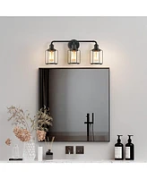 Flynama 24 in. 3-Light Vanity Light with Clear Glass Shade