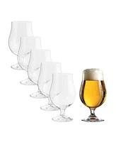 Stolzle Lausitz Berlin Beer Glasses, Set of 6