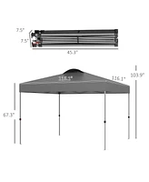 Outsunny 9.7' x Pop Up Canopy Tent, Gazebo w/ Carry Bag, Dark