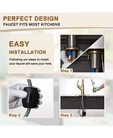 Casainc 1.8 Gpm Single-Handle Pull-Down Kitchen Faucet Single Hole