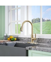 Casainc Single-Handle Pull-Down Kitchen Faucet Single Hole