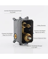 Casainc PureEssence Pressure-Balanced (Temperature And Volume) All-In-One Kit with Rough in-Valve