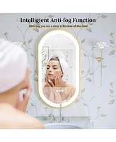 Wisfor Modern Led Oval Bathroom Mirror Wall Vanity Mirror Anti-Fog 23"x 47"