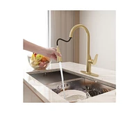 Casainc Single-Handle Pull-Down Kitchen Faucet Single Hole