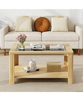 Gouun 2-Tier Table Rectangular Center Table with Tempered Glass Tabletop and Storage Shelf
