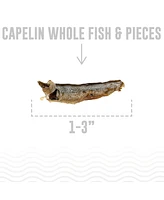 Icelandic+ Whole Fish & Pieces: Capelin - Cat Treat 1.5oz