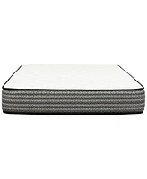 Primo International Majesty 12" Plush Mattress in a Box