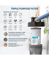 Aquasure Harmony Series | 32,000 Grains Water Softener with 10" Sediment/Carbon/Zinc Triple Purpose Whole House Water Filter