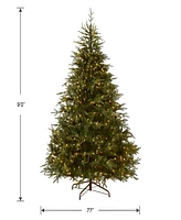 National Tree 9' "Feel Real" Frasier Grande Hinged Tree with 1500 Dual Led Lights