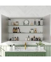 DeerValley 48'' W x 32'' H Led Lights Wall Mounted Medicine Cabinets With Mirrors And 2 Adjustable Shelves
