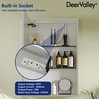 DeerValley 24'' W x 36'' H Led Lighted Wall Mounted Medicine Cabinets with Mirror and 2 Adjustable Shelves