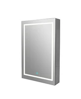 DeerValley 24'' W x 36'' H Led Lighted Wall Mounted Medicine Cabinets with Mirror and 2 Adjustable Shelves